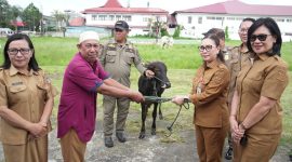 Pemerintah Kabupaten (Pemkab) Minahasa menyalurkan dalam rangka perayaan Hari Raya Idul Adha 1447 Hijriah 2026, yang berlangsung di Lapangan Belakang Kantor Bupati Minahasa, pada Senin (25/5/2026.