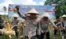 Polda Sulut Dukung Swasembada Pangan, Kapolda Hadiri Panen Raya Jagung Serentak 2026