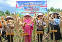 Polres Minahasa Utara terus menunjukkan komitmennya dalam mendukung program ketahanan pangan nasional melalui kegiatan Panen Raya Jagung Serentak Kuartal II Tahun 2026 yang dilaksanakan di Desa Tetey, Kecamatan Dimembe, Sabtu (16/5/2026).