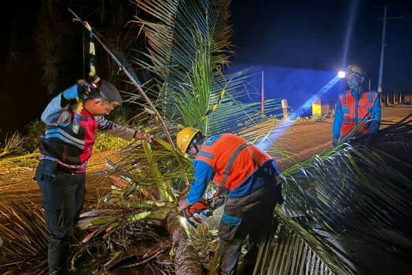 Personel Samapta Polres Bolaang Mongondow Selatan bergerak cepat mengevakuasi pohon kelapa tumbang yang menutup badan jalan di Desa Tabilaa, ruas Pinolosian–Molibagu, Senin malam (18/5/2026).