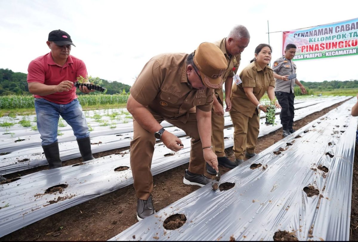 Bupati Minahasa, Dr. Robby Dondokambey SSi, MAP, bersama jajaran Pemkab Minahasa, melakukan penanaman cabai rawit guna menunjang ketahanan pangan.