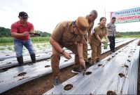 Bupati Minahasa, Dr. Robby Dondokambey SSi, MAP, bersama jajaran Pemkab Minahasa, melakukan penanaman cabai rawit guna menunjang ketahanan pangan.