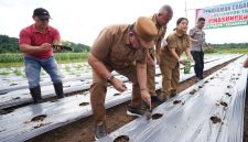 Bupati Minahasa, Dr. Robby Dondokambey SSi, MAP, bersama jajaran Pemkab Minahasa, melakukan penanaman cabai rawit guna menunjang ketahanan pangan.