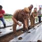 Bupati Minahasa, Dr. Robby Dondokambey SSi, MAP, bersama jajaran Pemkab Minahasa, melakukan penanaman cabai rawit guna menunjang ketahanan pangan.