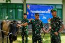 Pangdam XIII/Merdeka Mayjen TNI Mirza Agus, S.I.P., menyerahkan satu ekor sapi kurban kepada satuan Yonif TP 916/BS dalam rangka menyambut Hari Raya Iduladha 1447 Hijriah.