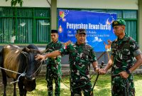 Pangdam XIII/Merdeka Mayjen TNI Mirza Agus, S.I.P., menyerahkan satu ekor sapi kurban kepada satuan Yonif TP 916/BS dalam rangka menyambut Hari Raya Iduladha 1447 Hijriah.