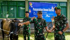Pangdam XIII/Merdeka Mayjen TNI Mirza Agus, S.I.P., menyerahkan satu ekor sapi kurban kepada satuan Yonif TP 916/BS dalam rangka menyambut Hari Raya Iduladha 1447 Hijriah.