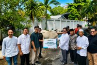 PT PLN (Persero) Unit Induk Distribusi Sulawesi Utara, Sulawesi Tengah, dan Gorontalo (UID Suluttenggo) memperingati Hari Raya Iduladha 1447 Hijriah dengan menggelar aksi sosial keagamaan serentak di seluruh unit kerja, Kamis (28/5/2026).