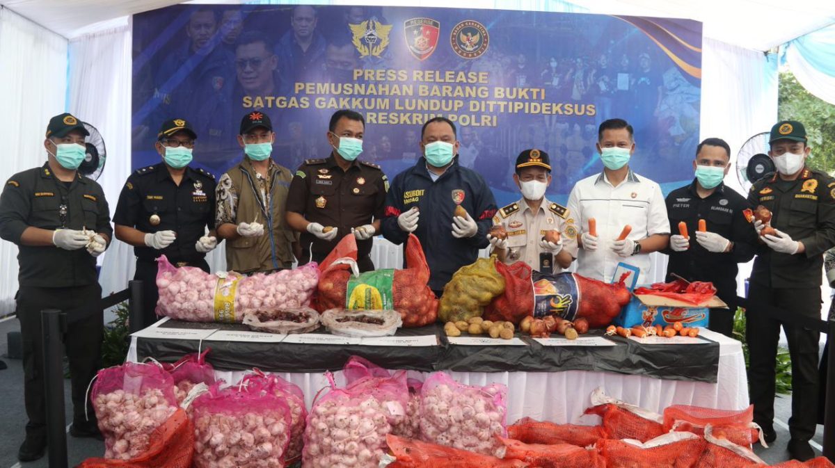 Aparat penegak hukum bersama sejumlah instansi terkait memusnahkan barang bukti bawang impor ilegal yang diduga diselundupkan dari Malaysia melalui jalur tikus di wilayah perbatasan Kalimantan Barat, Kamis (21/5/2026).
