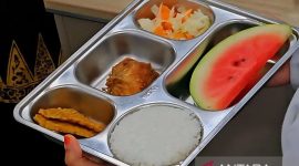Contoh menu BGN.(Foto Antara)