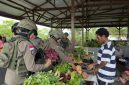 Aktivitas ekonomi masyarakat di Kabupaten Nduga, Papua Pegunungan, berlangsung aman dan kondusif.