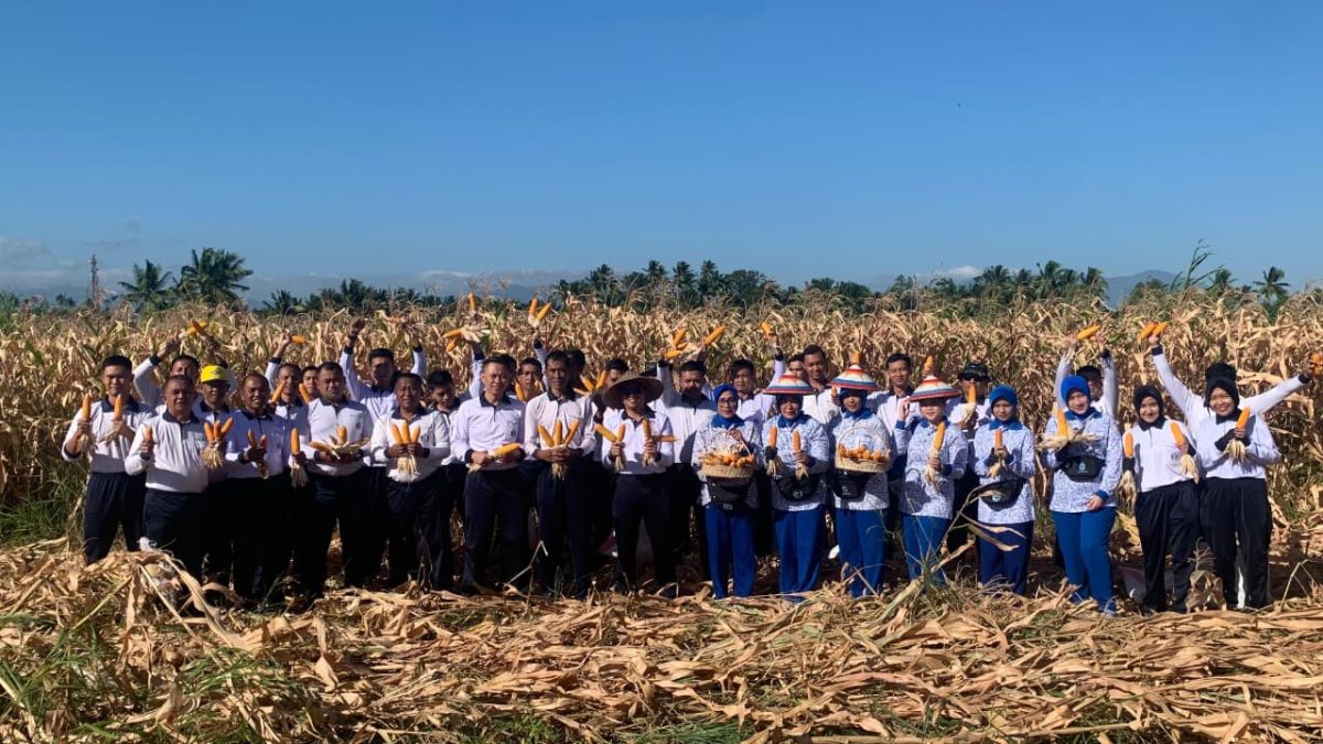 Pangkalan Udara Angkatan Laut (Lanudal) Manado memperkuat dukungan terhadap program ketahanan pangan nasional melalui panen raya jagung di lahan ketahanan pangan Lanudal Manado, Selasa (28/7/2026).