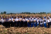 Pangkalan Udara Angkatan Laut (Lanudal) Manado memperkuat dukungan terhadap program ketahanan pangan nasional melalui panen raya jagung di lahan ketahanan pangan Lanudal Manado, Selasa (28/7/2026).