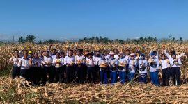 Pangkalan Udara Angkatan Laut (Lanudal) Manado memperkuat dukungan terhadap program ketahanan pangan nasional melalui panen raya jagung di lahan ketahanan pangan Lanudal Manado, Selasa (28/7/2026).