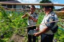 Lapas Kelas III Tagulandang kembali memanen pare hasil budidaya di lahan ketahanan pangan milik lapas, Senin (27/7/2026).