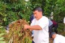 Gubernur Sulawesi Utara Mayjen TNI (Purn) Yulius Selvanus, S.E. turun langsung membersihkan kawasan Festival Budaya Tonsea (Fesbudaton) di Kelurahan Paleloan, Kabupaten Minahasa, Jumat 24/7. (ist)