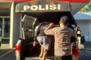 Respons cepat ditunjukkan Polsek Wenang setelah mengamankan seorang pria yang diduga membuat keributan akibat pengaruh minuman keras di Kelurahan Tikala Kumaraka, Kecamatan Wenang, Rabu (29/7/2026).