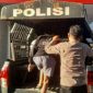 Respons cepat ditunjukkan Polsek Wenang setelah mengamankan seorang pria yang diduga membuat keributan akibat pengaruh minuman keras di Kelurahan Tikala Kumaraka, Kecamatan Wenang, Rabu (29/7/2026).