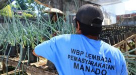 Lembaga Pemasyarakatan (Lapas) Kelas IIA Manado kembali menunjukkan komitmennya mendukung program ketahanan pangan nasional melalui panen daun bawang yang dibudidayakan di lahan pertanian dalam lingkungan lapas.