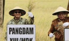 Panen Raya 50 Hektare di Tapadaka Timur, Pangdam Soroti Kesejahteraan Petani