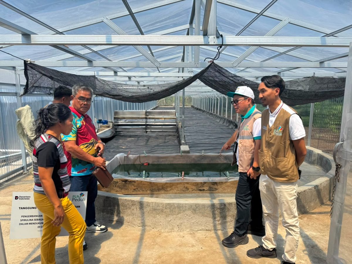 PT PLN (Persero) UP3 Manado meluncurkan program pengembangan budidaya dan pengolahan spirulina di Desa Tarabitan, Kecamatan Likupang Barat, Kabupaten Minahasa Utara.