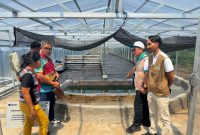 PT PLN (Persero) UP3 Manado meluncurkan program pengembangan budidaya dan pengolahan spirulina di Desa Tarabitan, Kecamatan Likupang Barat, Kabupaten Minahasa Utara.
