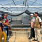 PT PLN (Persero) UP3 Manado meluncurkan program pengembangan budidaya dan pengolahan spirulina di Desa Tarabitan, Kecamatan Likupang Barat, Kabupaten Minahasa Utara.