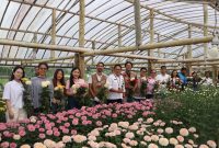 PT PLN (Persero) Unit Induk Distribusi Sulawesi Utara, Sulawesi Tengah, dan Gorontalo (UID Suluttenggo) meresmikan bantuan Electrifying Agriculture bagi Kelompok Tani Sukamaju di Kelurahan Kakaskasen II, Kota Tomohon, Jumat (24/7/2026).