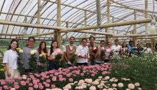 PT PLN (Persero) Unit Induk Distribusi Sulawesi Utara, Sulawesi Tengah, dan Gorontalo (UID Suluttenggo) meresmikan bantuan Electrifying Agriculture bagi Kelompok Tani Sukamaju di Kelurahan Kakaskasen II, Kota Tomohon, Jumat (24/7/2026).