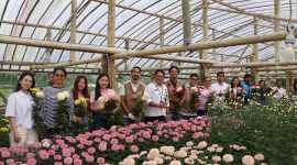 PT PLN (Persero) Unit Induk Distribusi Sulawesi Utara, Sulawesi Tengah, dan Gorontalo (UID Suluttenggo) meresmikan bantuan Electrifying Agriculture bagi Kelompok Tani Sukamaju di Kelurahan Kakaskasen II, Kota Tomohon, Jumat (24/7/2026).