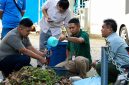 PLN UP3 Tahuna mendorong budaya peduli lingkungan melalui Sosialisasi Pengolahan Sampah Organik, Senin (11/8/2026).
