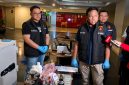 Bareskrim Polri membongkar dugaan jaringan penambangan emas ilegal yang hasilnya diproses di Jakarta sebelum diselundupkan ke luar negeri.