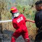 Personel Satuan Brimob Polda Sulawesi Utara bergerak membantu pemadaman kebakaran semak belukar di kawasan Gunung Batu, Desa Sea, Kabupaten Minahasa.