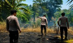 Kebakaran Lahan Kosong di Maumbi Minut Berhasil Dipadamkan, Polisi Selidiki Penyebabnya