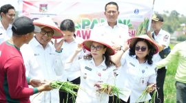 Wakil Bupati Minahasa Vanda Sarundajang, bersama Perwakilan Bank Indonesia, di Kecamatan Langowan, Rabu (2/9/2026).