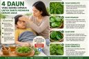 Demam pada anak sering membuat orang tua mencari cara untuk membantu menurunkan suhu tubuh, termasuk menggunakan ramuan tradisional.