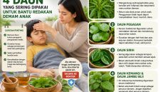 Demam pada anak sering membuat orang tua mencari cara untuk membantu menurunkan suhu tubuh, termasuk menggunakan ramuan tradisional.