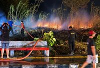Kebakaran lahan kosong terjadi di Jaga II Desa Maumbi, Kecamatan Kalawat, Kabupaten Minahasa Utara (Minut), Rabu (9/9/2026).