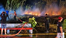 Kebakaran lahan kosong terjadi di Jaga II Desa Maumbi, Kecamatan Kalawat, Kabupaten Minahasa Utara (Minut), Rabu (9/9/2026).
