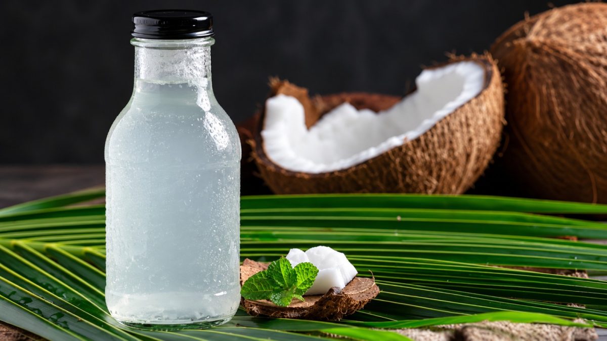 Air kelapa dikenal sebagai minuman alami yang menyegarkan dan sering dikonsumsi untuk membantu memenuhi kebutuhan cairan tubuh.