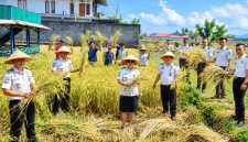 Lembaga Pemasyarakatan (Lapas) Kelas III Amurang melaksanakan panen raya budidaya padi sebagai bagian dari program ketahanan pangan, Senin (21/9/2026).