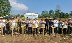 Di Tengah El Nino, Kapolda Sulut dan Forkopimda Panen Jagung Yellow Corn