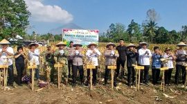 Panen Raya Jagung Kelompok Tani Sehati yang dihadiri Kapolda Sulawesi Utara Irjen Pol Yudo Hermanto, S.I.K., M.M., bersama unsur Forum Koordinasi Pimpinan Daerah (Forkopimda), pejabat utama Polda Sulut, dan instansi terkait, Rabu (28/10/2026). (ist)