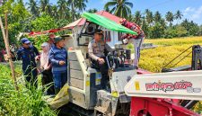 Penerapan Advanced Agriculture System (PM-AAS) di Kabupaten Bolaang Mongondow Utara mulai menunjukkan hasil.