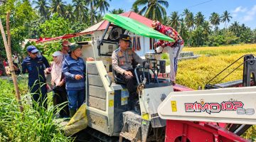 Penerapan Advanced Agriculture System (PM-AAS) di Kabupaten Bolaang Mongondow Utara mulai menunjukkan hasil.