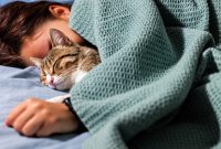 Tidur bersama kucing kesayangan dapat memberikan rasa nyaman dan membantu sebagian orang merasa lebih rileks.