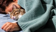 Tidur bersama kucing kesayangan dapat memberikan rasa nyaman dan membantu sebagian orang merasa lebih rileks.