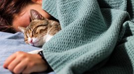 Tidur bersama kucing kesayangan dapat memberikan rasa nyaman dan membantu sebagian orang merasa lebih rileks.