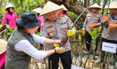 Jaga Keindahan Bunaken, Kapolda Sulut dan Bhayangkari Tanam Mangrove di Pesisir