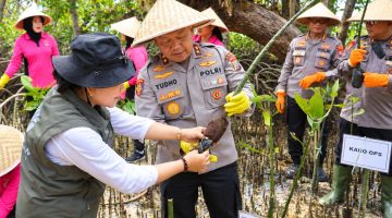 Kapolda Sulut Irjen Pol Yudo Hermanto, S.I.K., M.M., bersama Ketua Bhayangkari Daerah Sulut Ny. Shinta Yudo menanam  pohon mangrove di kawasan Bunaken, Rabu (21/10/2026).